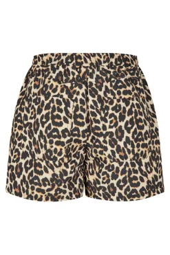 AstaLL Shorts 72 Leopard Print ES251152056