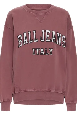 BACOOPER SWEATSHIRT Chocolate Truffle 50405297