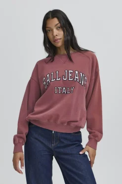 BACOOPER SWEATSHIRT Chocolate Truffle 50405297