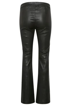 CedarIW Long Pants Black 30106656