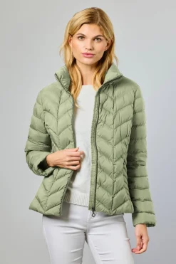 Daisy 41Cactus 0126204060