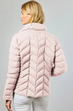 Daisy 33Rose 0126204060