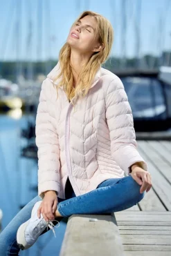 Daisy 33Rose 0126204060