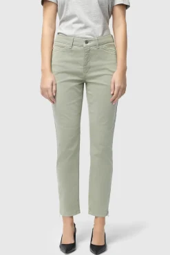 DREAM CHIC 343R dried rosemary PPT