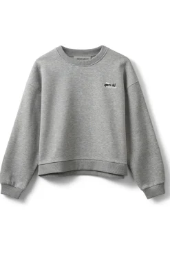 ELINSW SWEATSHIRT 8010 Grey melange S254440