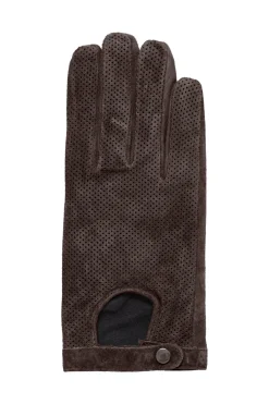 IALAI GL Java 20117171