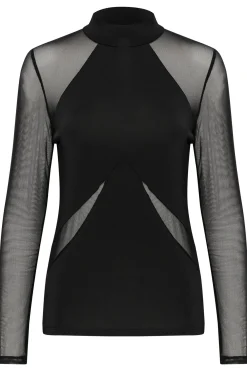 KBSibella Top Meteorite 10105255