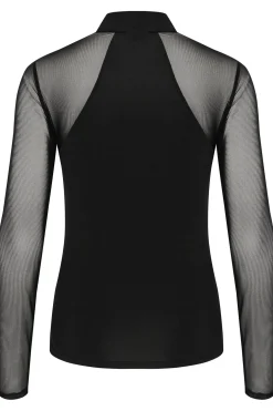 KBSibella Top Meteorite 10105255