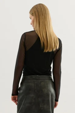 KBSibella Top Meteorite 10105255