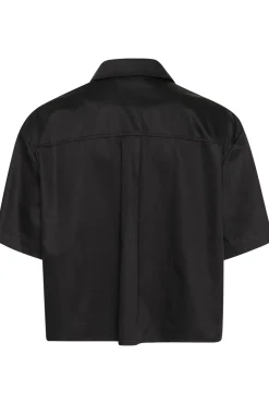 KBUshi Top Meteorite 10105425