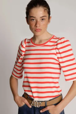 MATTER 58Camel 1913/24151