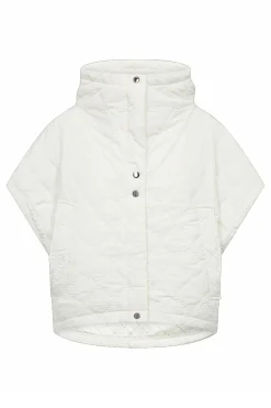 Net Jet Stream 208224