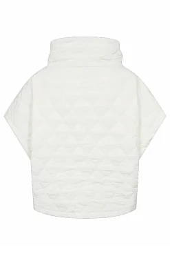 Net Jet Stream 208224